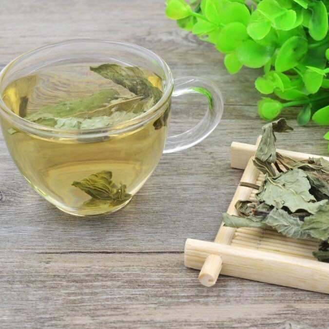 Trà Cây Bạc Hà Sấy Lạnh Handmade Cao Cấp