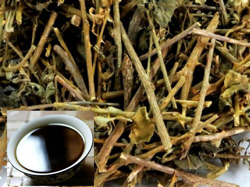 1kg Cà gai Leo khô Cảm kết hàng chất lượng