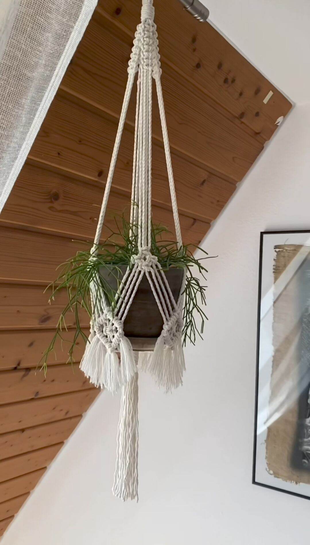 dây treo chậu hoa cây cảnh tết macrame độc đáo