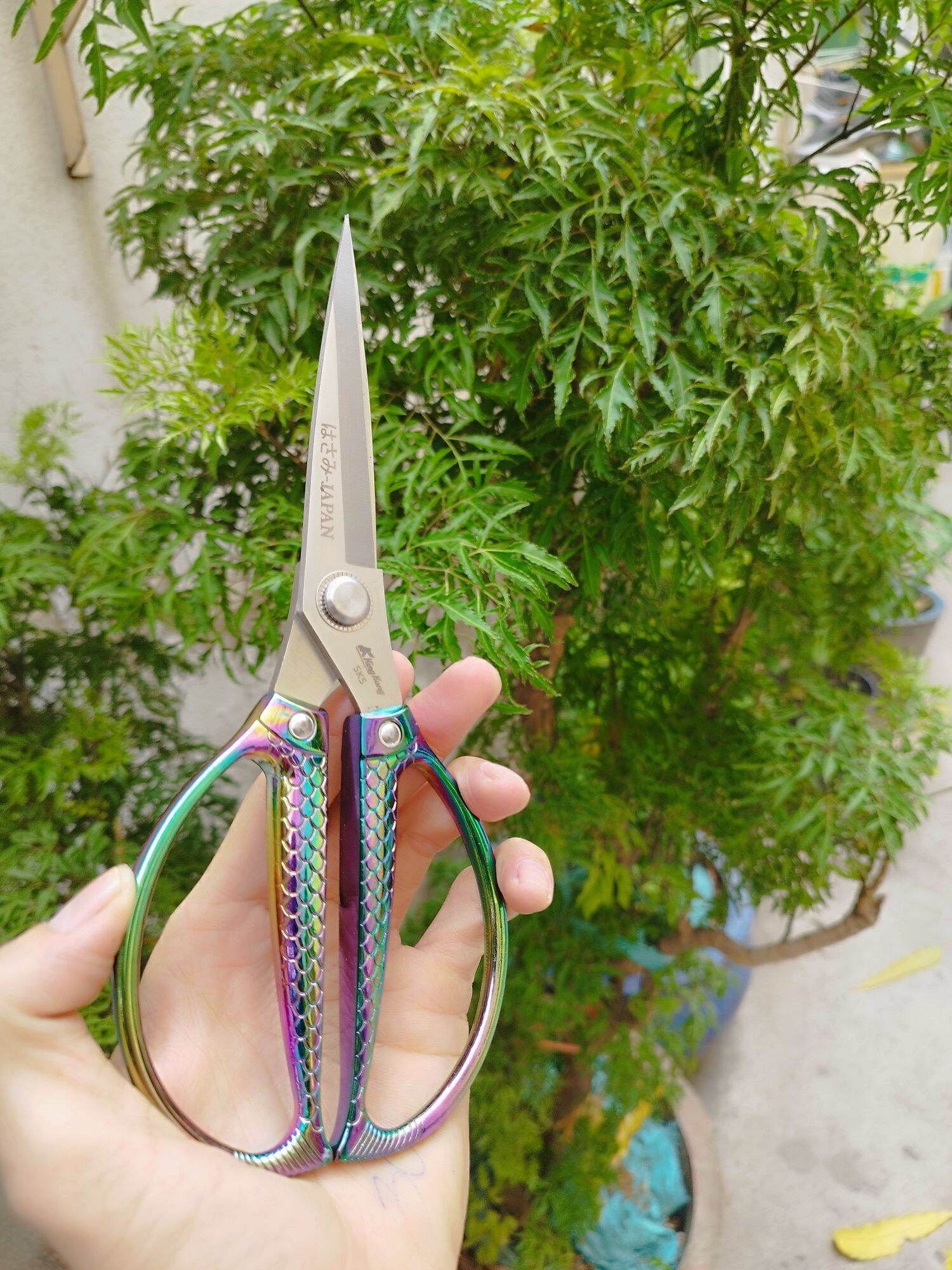 KÉO CẮT CẮT THỰC PHẨM NHẬT HÀNG BÃI NHẬT SIÊU SỊN