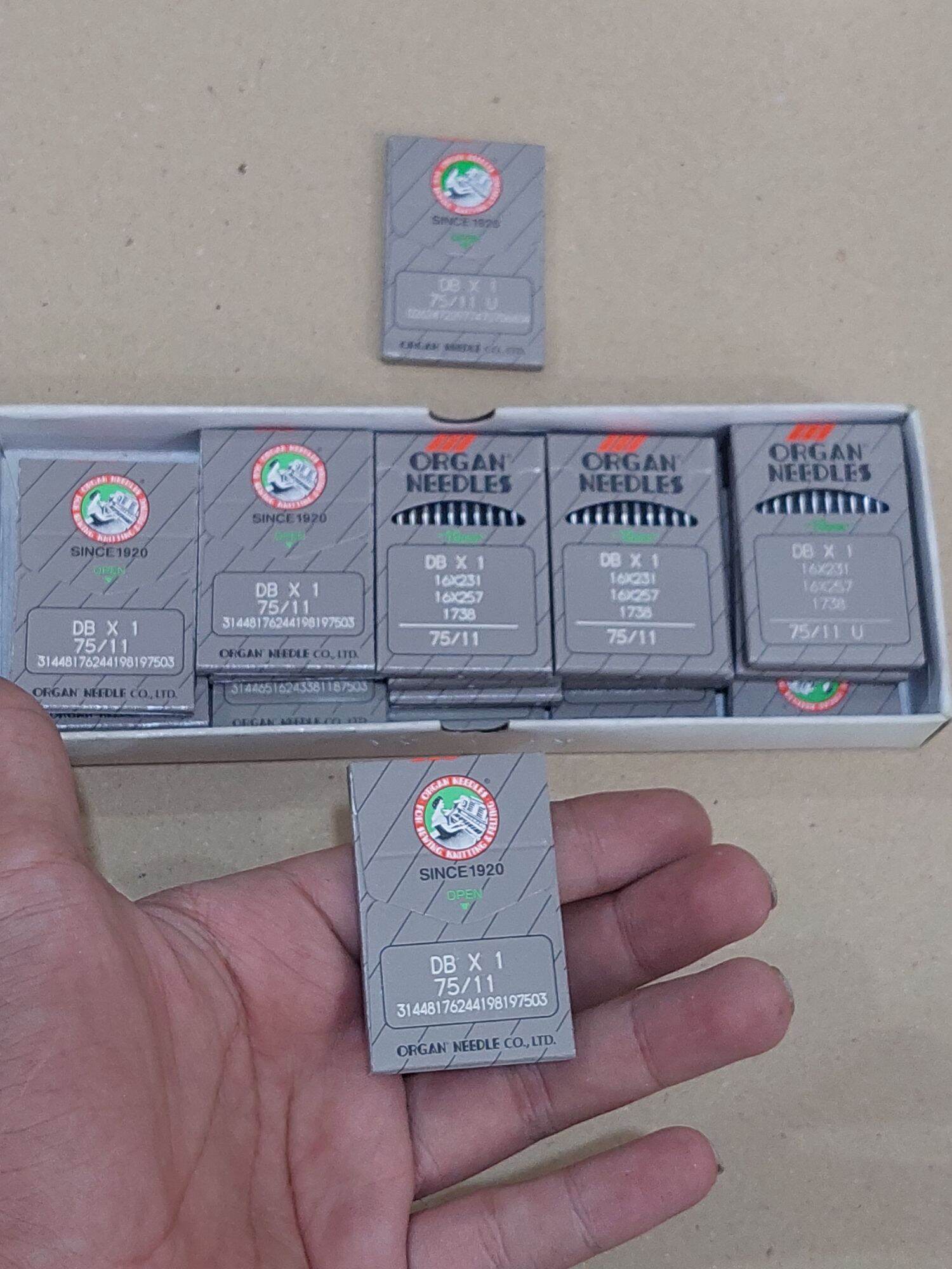kim nhật 1 kim số 11