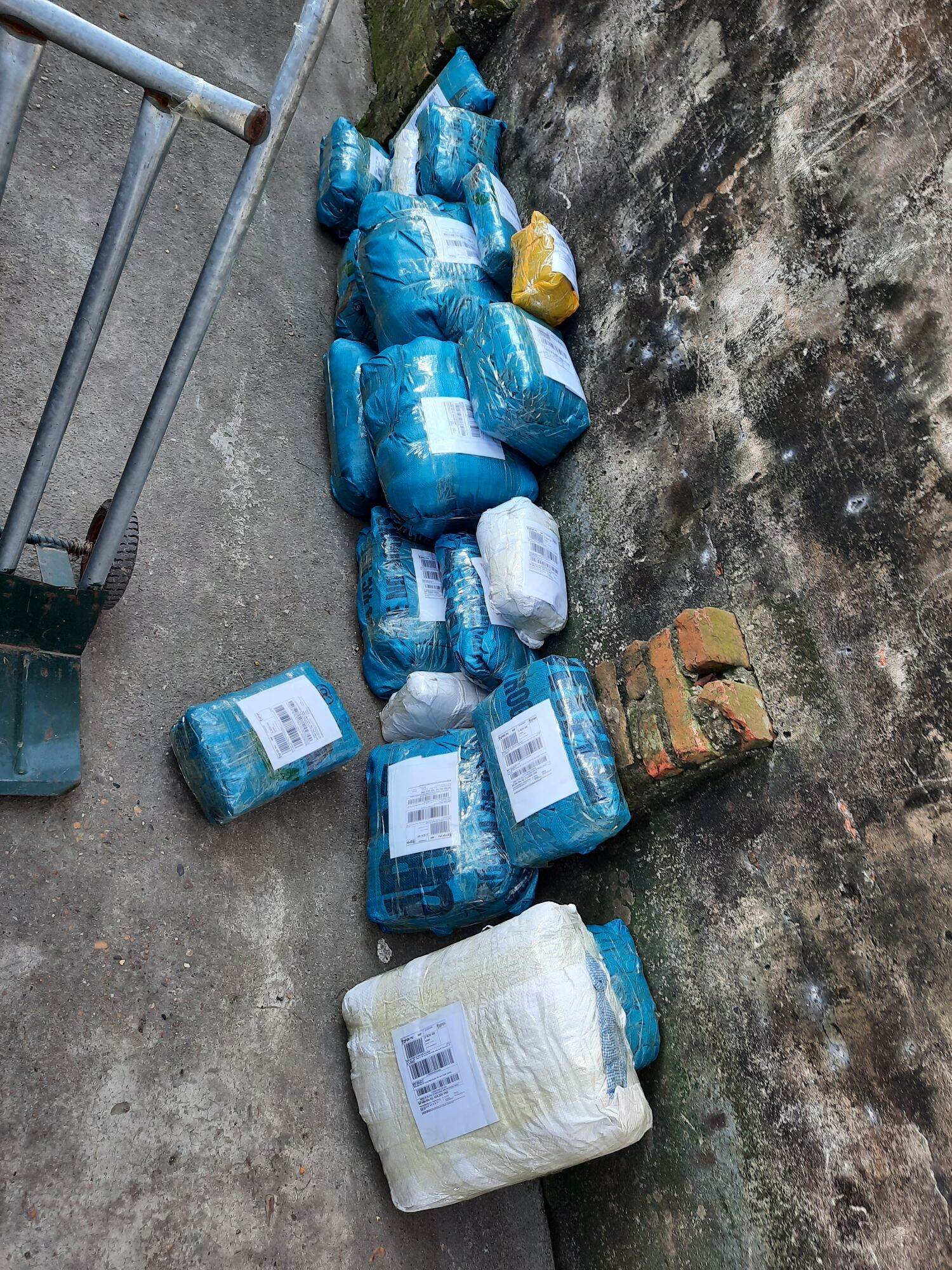 Bể bạt nuôi ốc ếch cá lươn chạch - xanh bộ đội hàn quốc