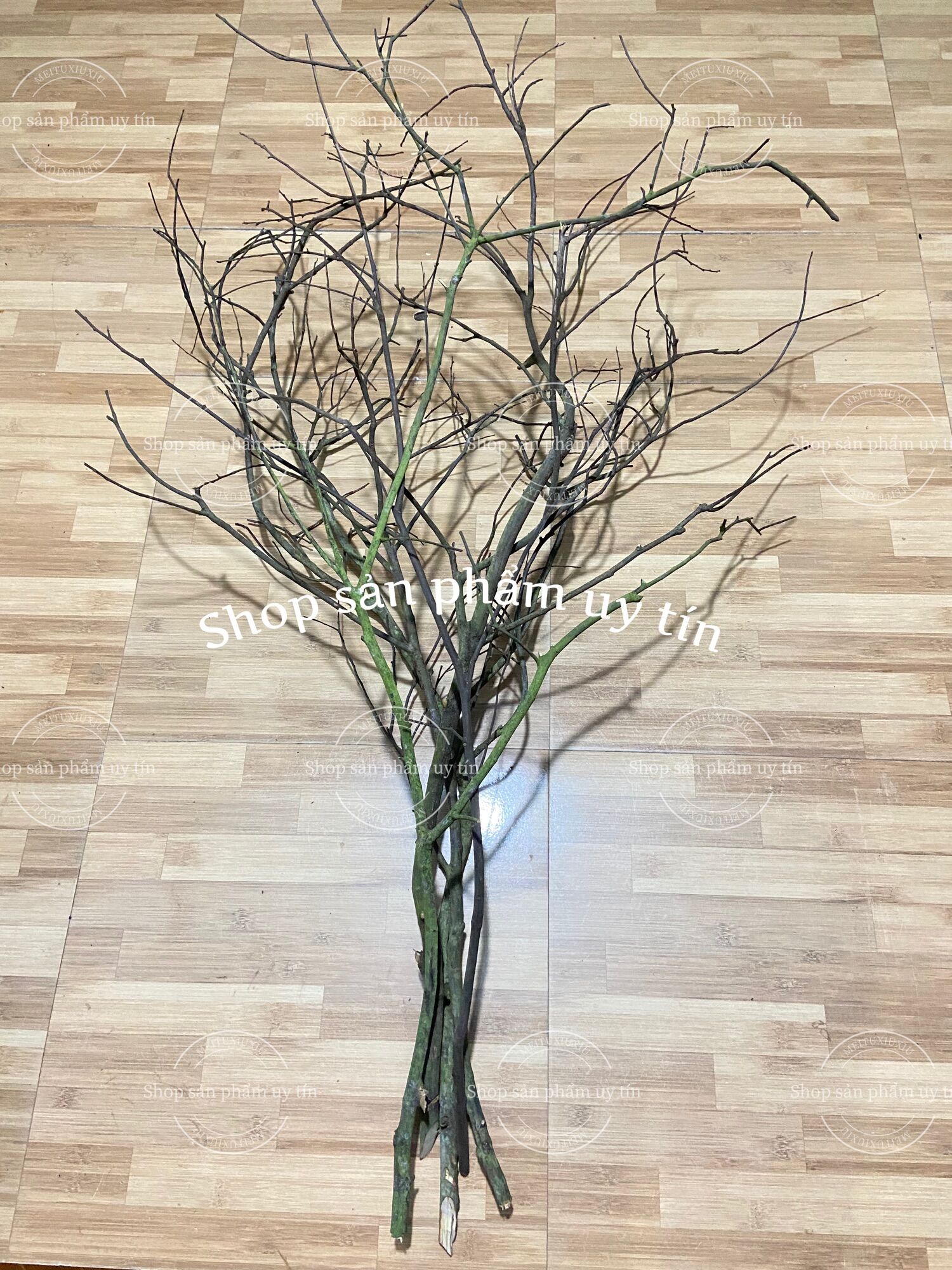 cành củi khô trang trí (cành to cao 1,4-2m) ngẫu nhiên
