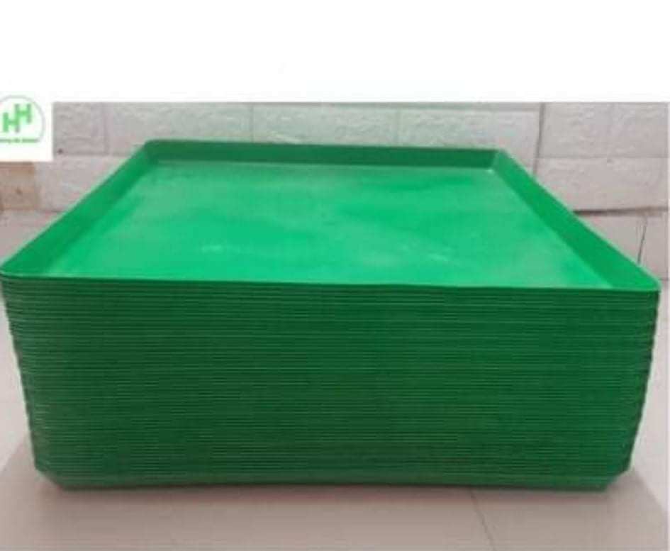 Khay hứng phân chim,phân gà 50x50,phụ kiện phương169