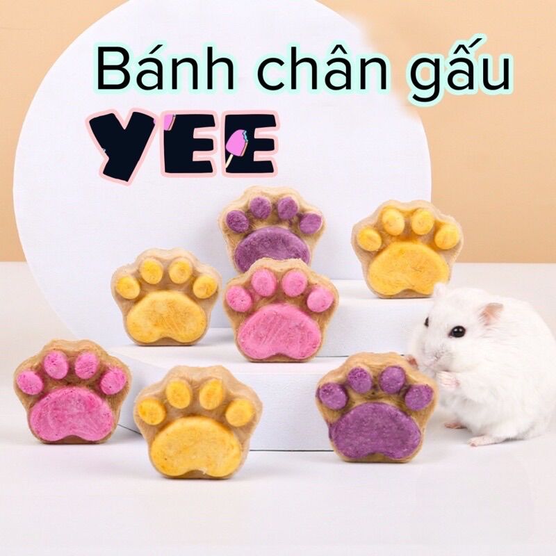 Bánh mài răng bàn chân gấu Yee cho Hamster/Sóc/Nhím/Chó/Mèo