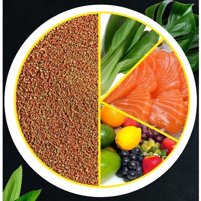 Thức ăn cho cá bảy màu, guppy, betta cá cảnh, cá thủy sinh (gói vàng 20g)