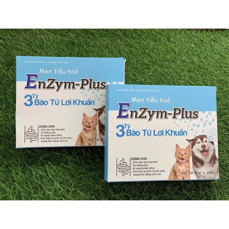 Men Tiêu Hóa Cho Chó Mèo EnZym-Plus