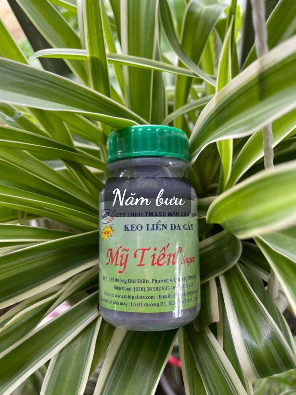 Keo liền da cây nâu Mỹ Tiến- Super- 100gr- Năm Bưu