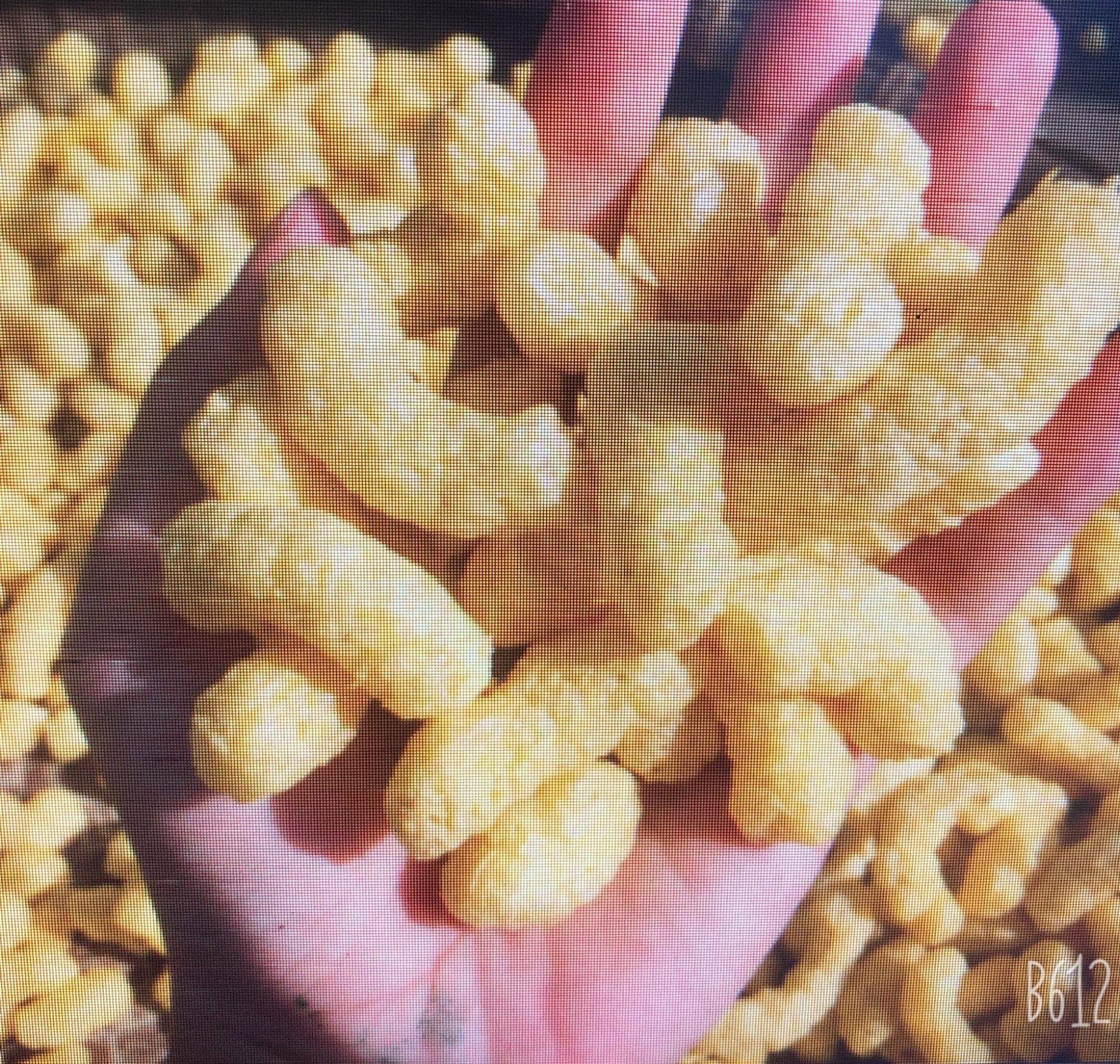 500g bỏng bọ ngô không đường