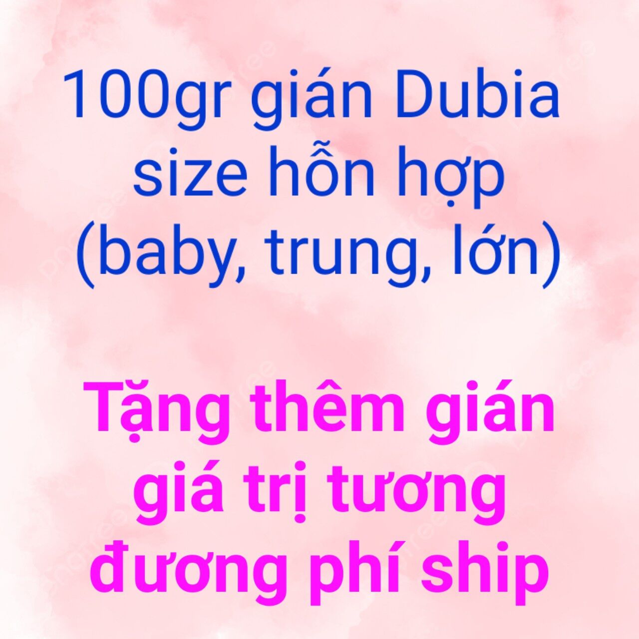 100gr gián dubia size hỗn hợp