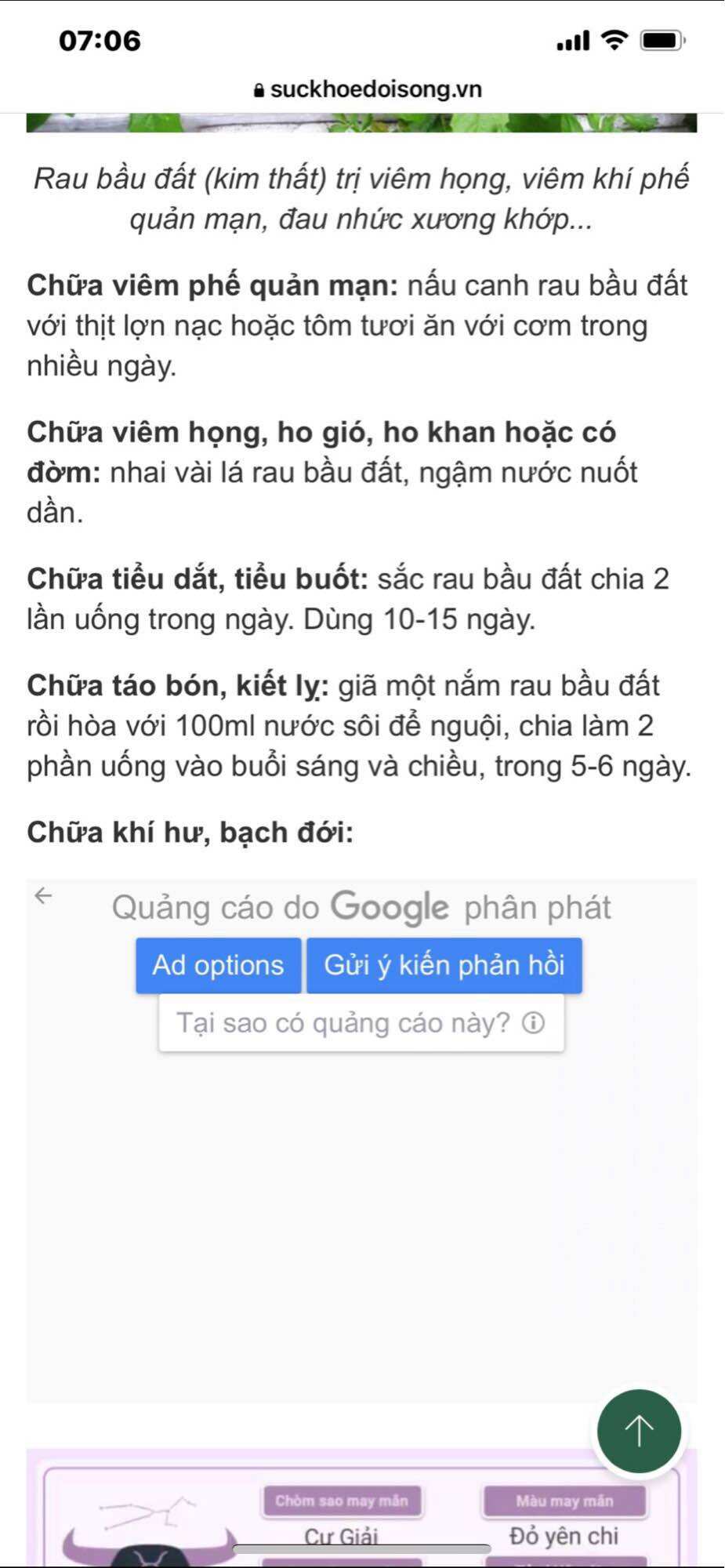 Chậu cây rau bầu đất