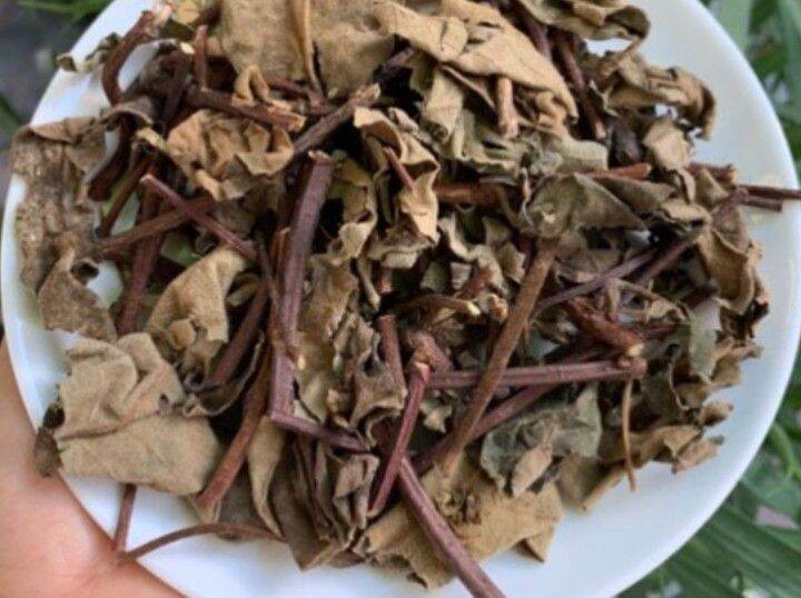 Cây lá Hà thủ ô khô