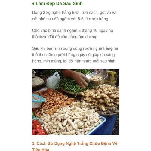 NGHỆ TRẮNG ( NGHỆ ĐỘC THÂN )