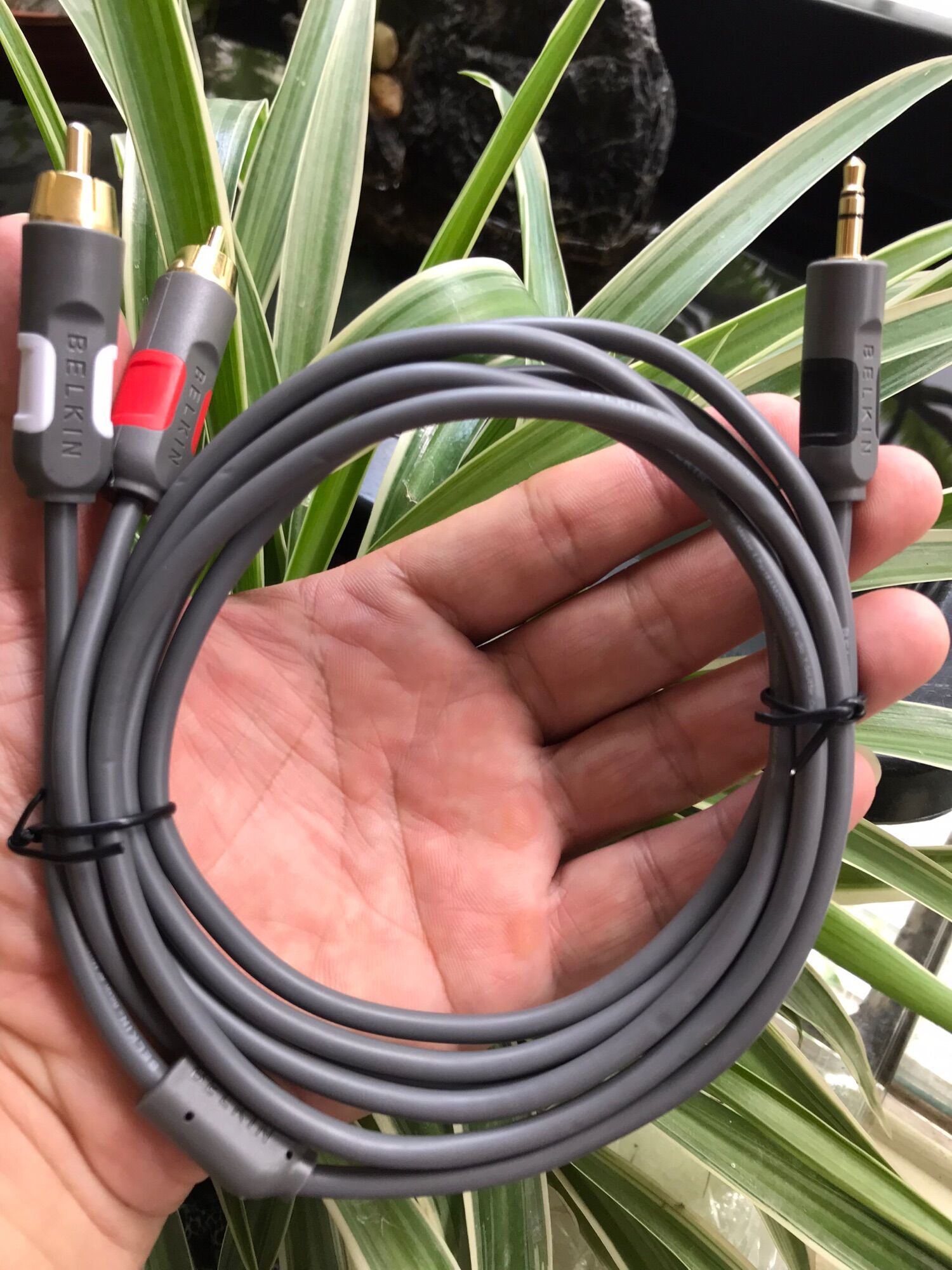 Dây tín hiệu Belkin Đức 3.5 ra av dài 2m loại xịn