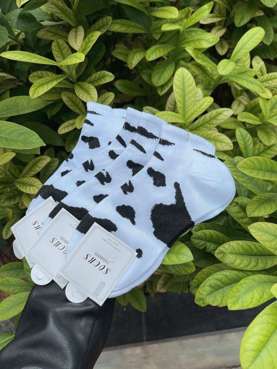Sét 5 đôi tất bò sữa trắng xịn sò trẻ trung