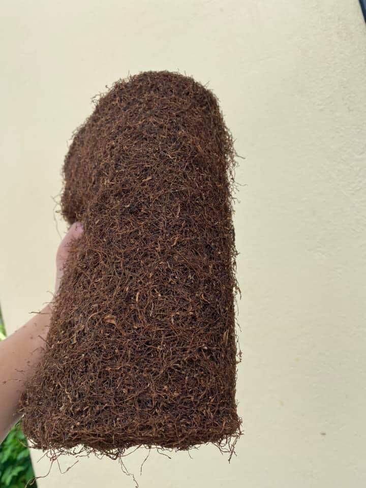 Đặc sản 36 thanh hoá