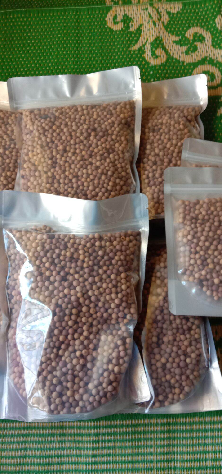 100 gram (600hạt) Hạt Giống Đàn Hương Trắng Ấn Độ