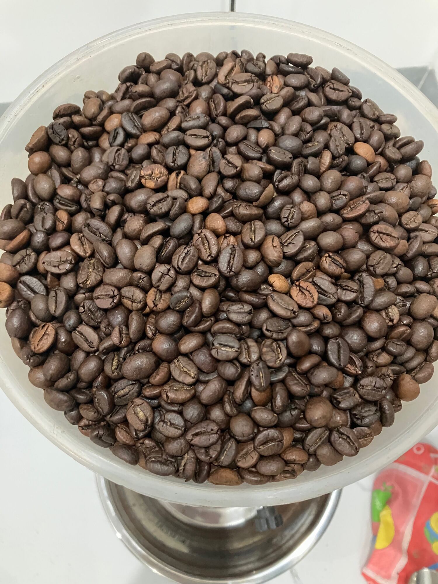 Cà phê hạt mộc Arabica, Robusta