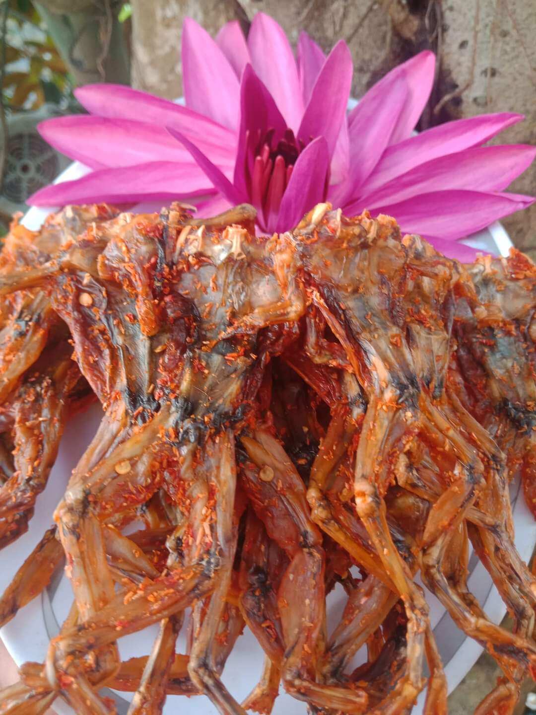 Khô ếch ướp xả ớt Đồng Tháp