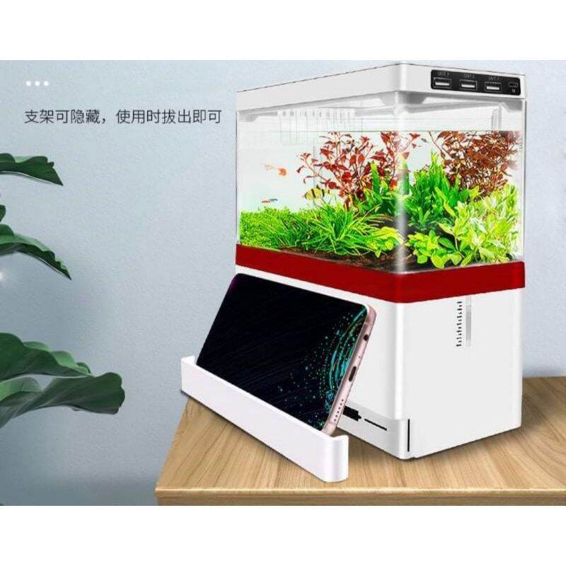 Bể cá thủy sinh mini thích hợp để bàn học hoặc bàn làm việc