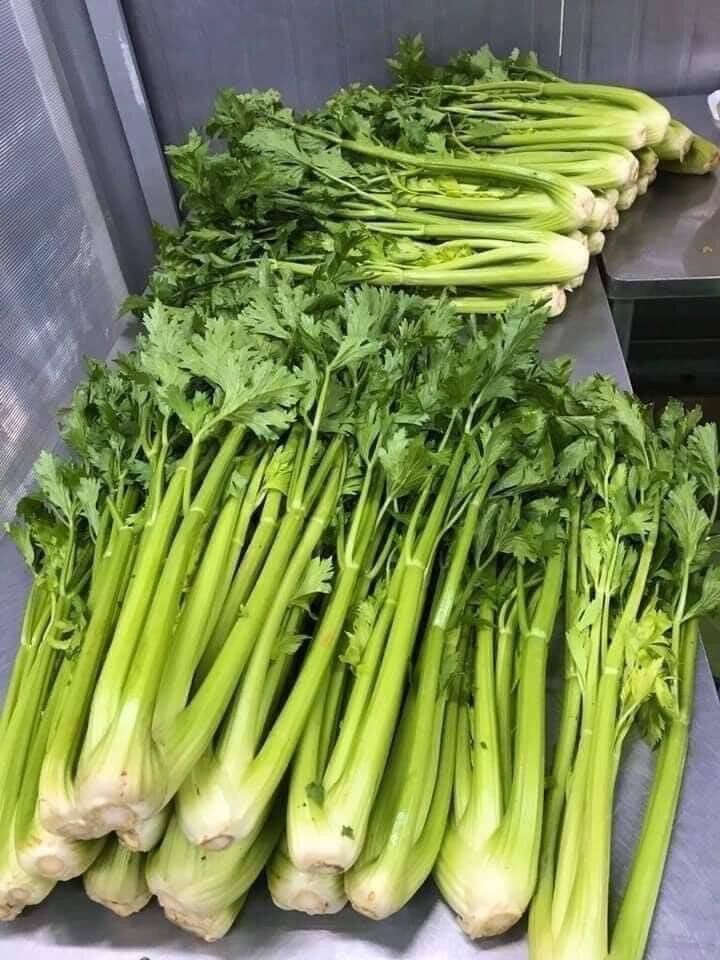 Bột cần tây giảm cân hộp 500g