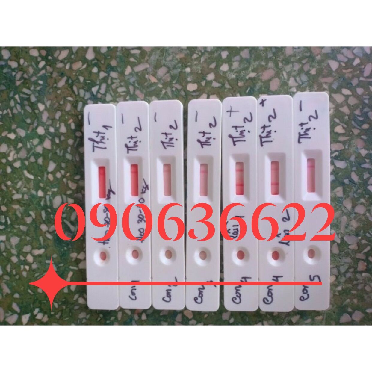 que thử (test ) nhanh dịch tả châu phi