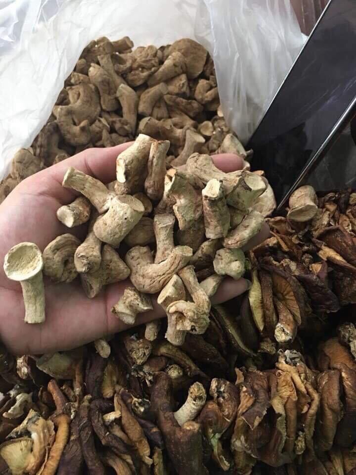 Chân nấm hương khô Tây Bắc gói 500g