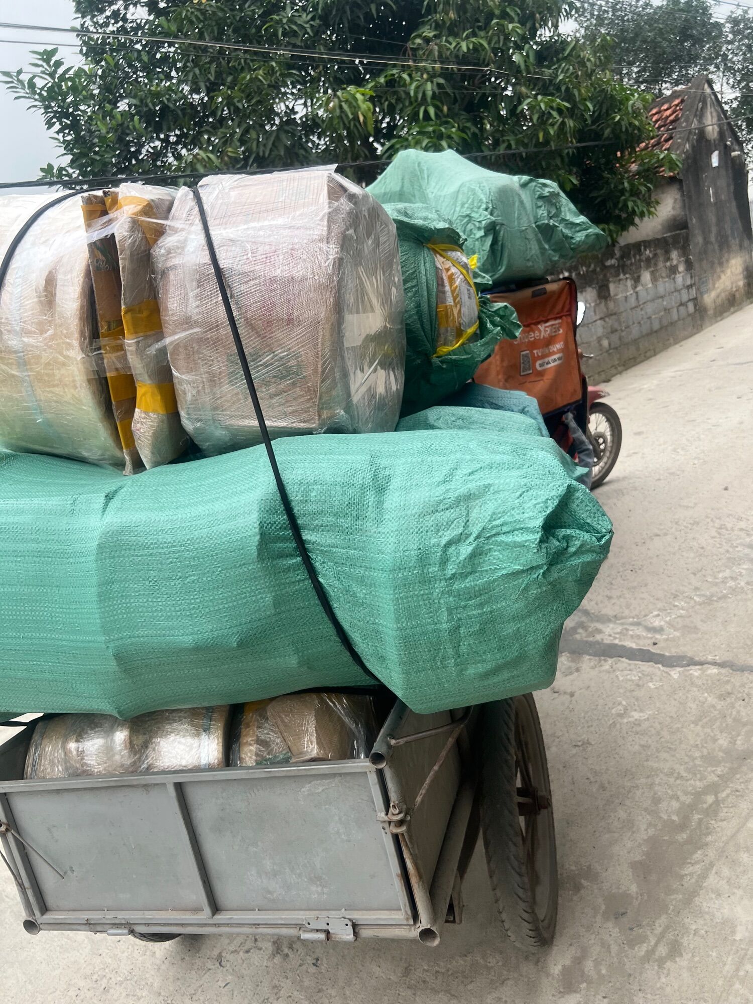 Dầu gội hà thủ ô linh chi 500ml xả gội combo