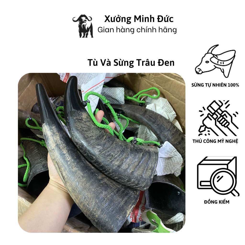 Kèn, Tù và sừng trâu thổi nhẹ âm vang, dùng trong lễ hội cổ vũ bóng đá
