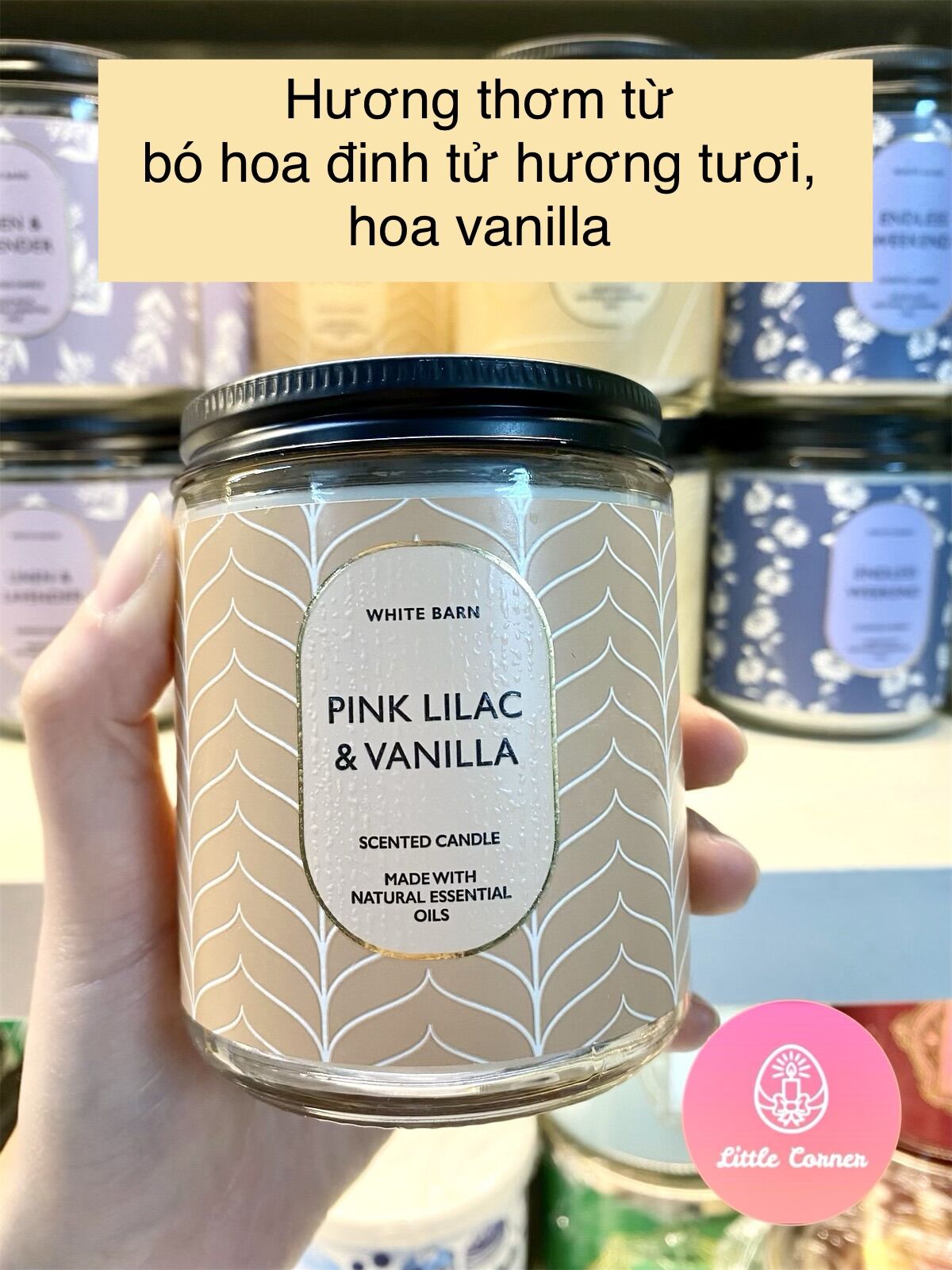 Nến thơm 1 bấc bath and body works 198g bbw