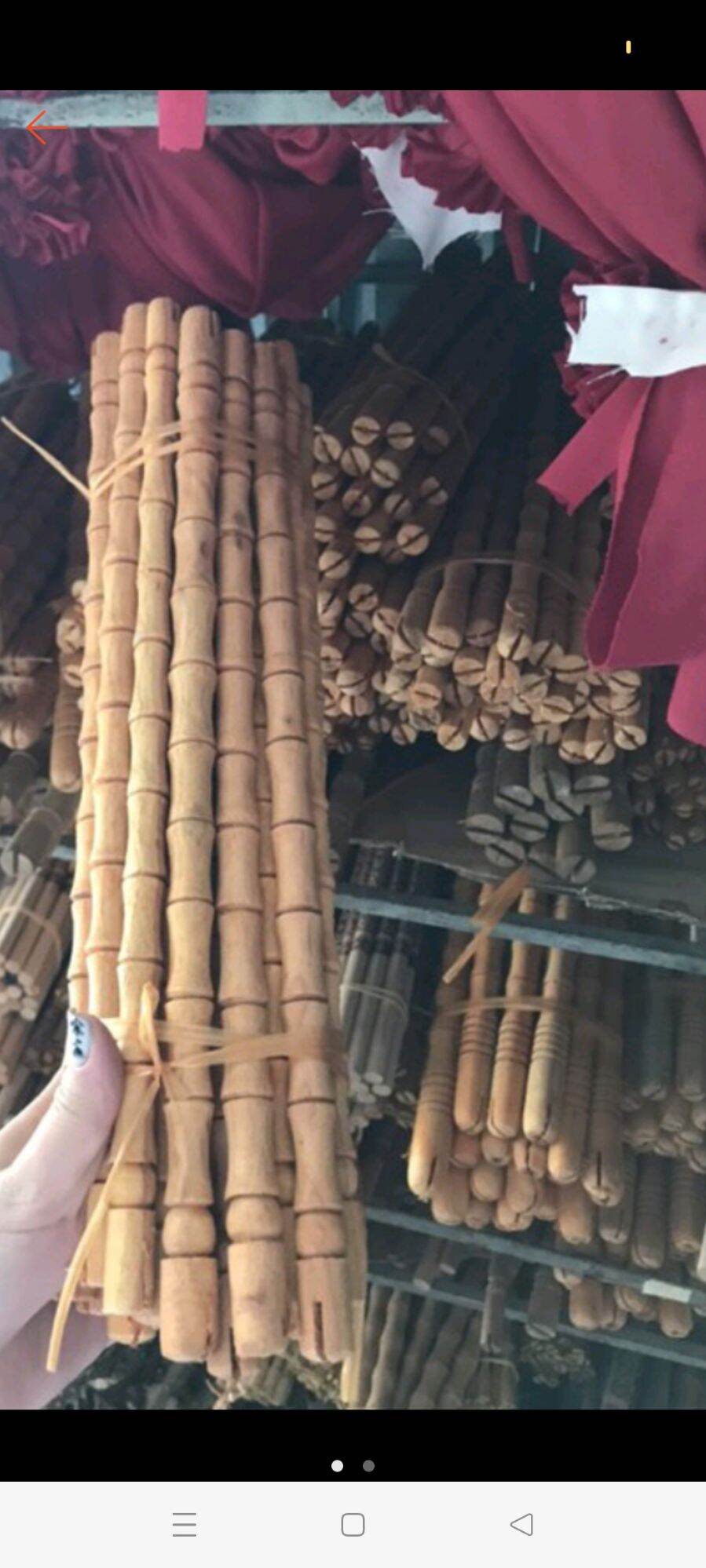 cầu đốt trúc cho khuyên