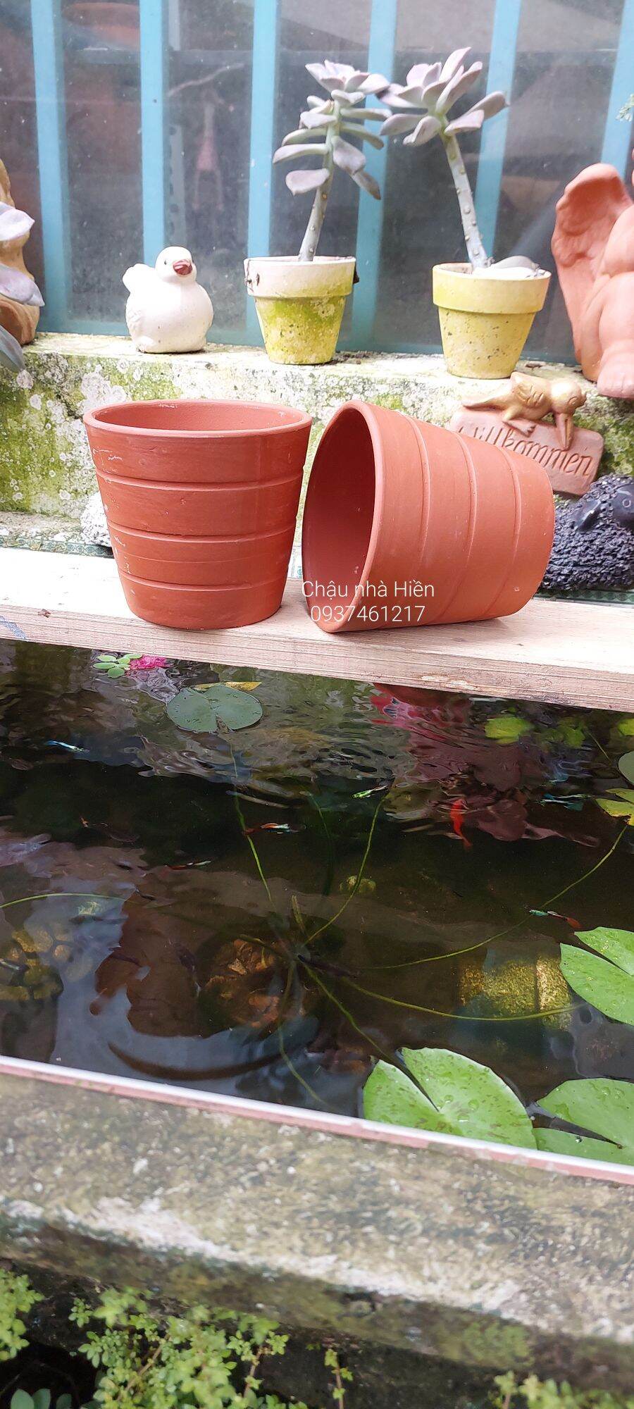 Chậu đất nung Bình Dương ly sọc ngang