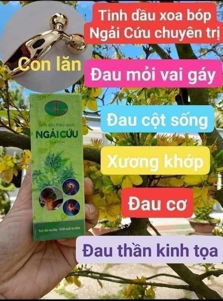 Ngải cứu xoa bóp dạ thảo liên