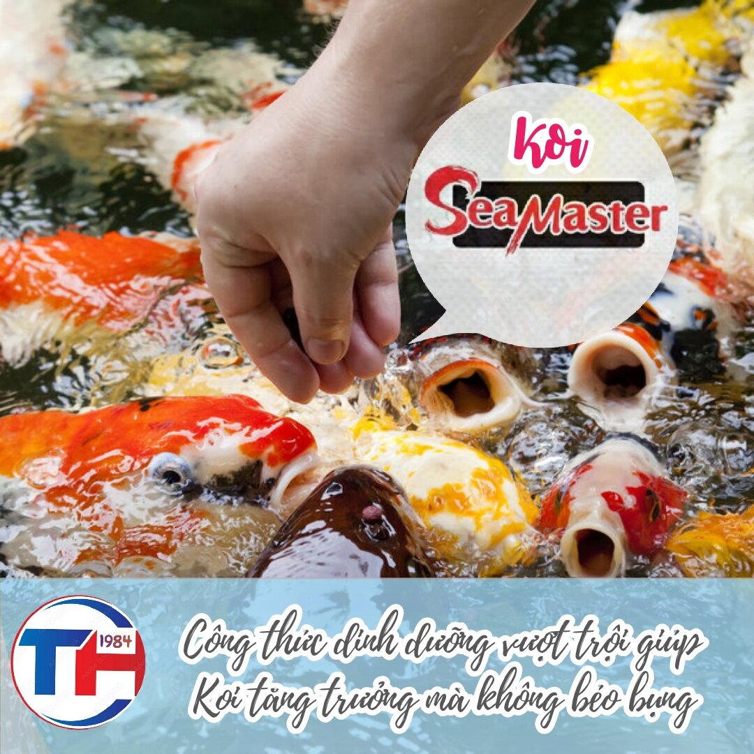 Cám cá Koi, cá Vàng SeaMaster || Túi 1Kg
