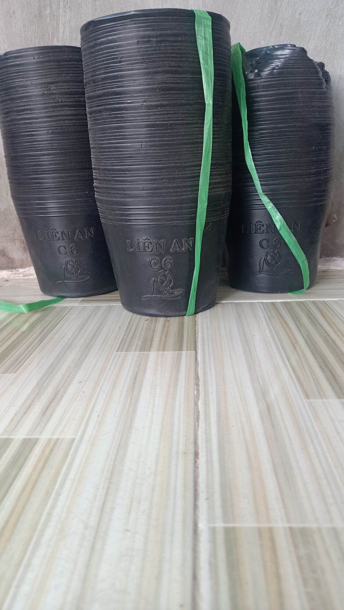 Chậu nhựa chất lượng C6 combo 200 cái