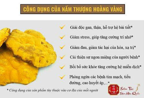 nấm thượng hoàng hàn quốc (hộp quà 0,5kg)