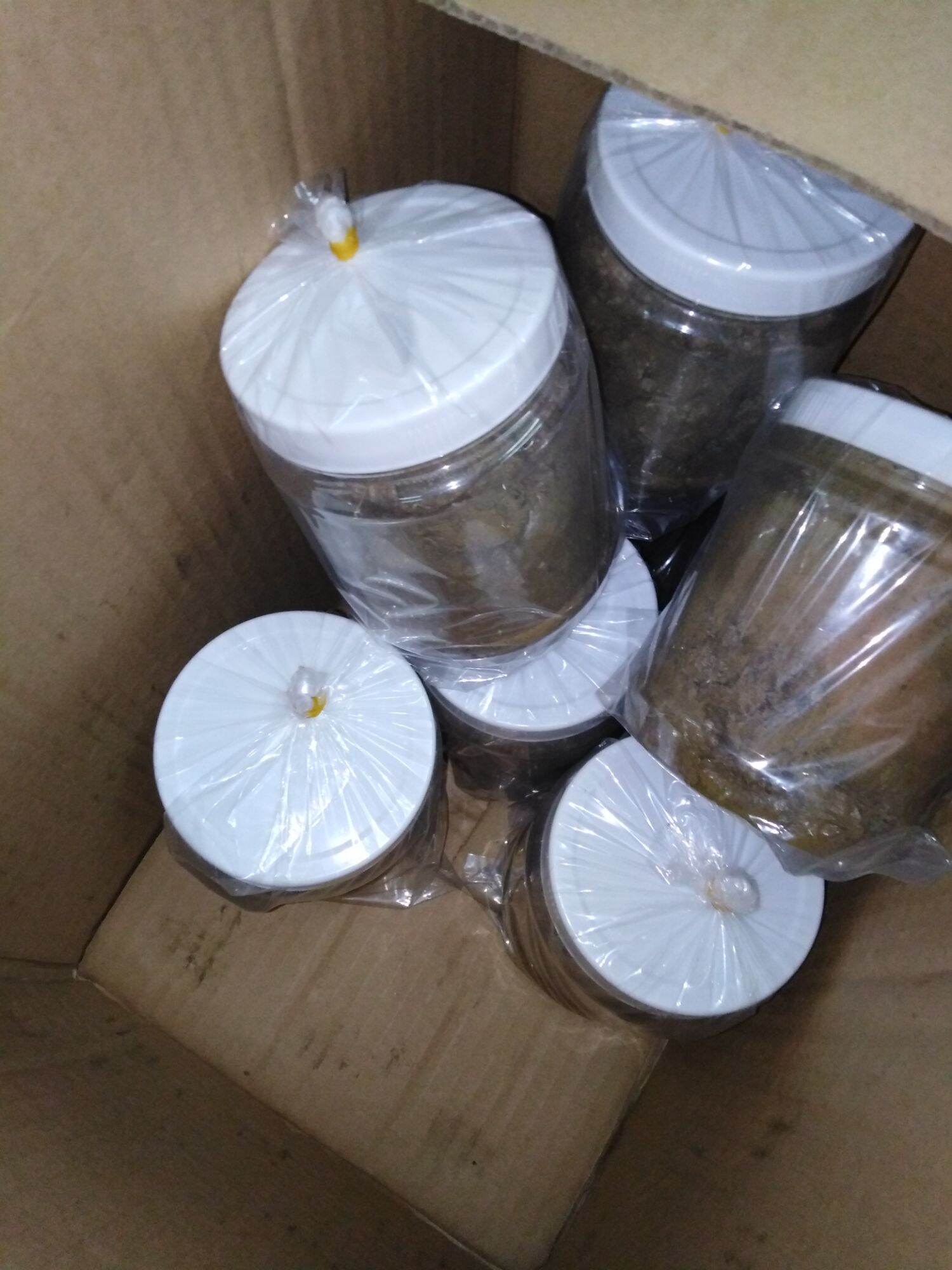 [HCM]mồi cá lăng Loại 1