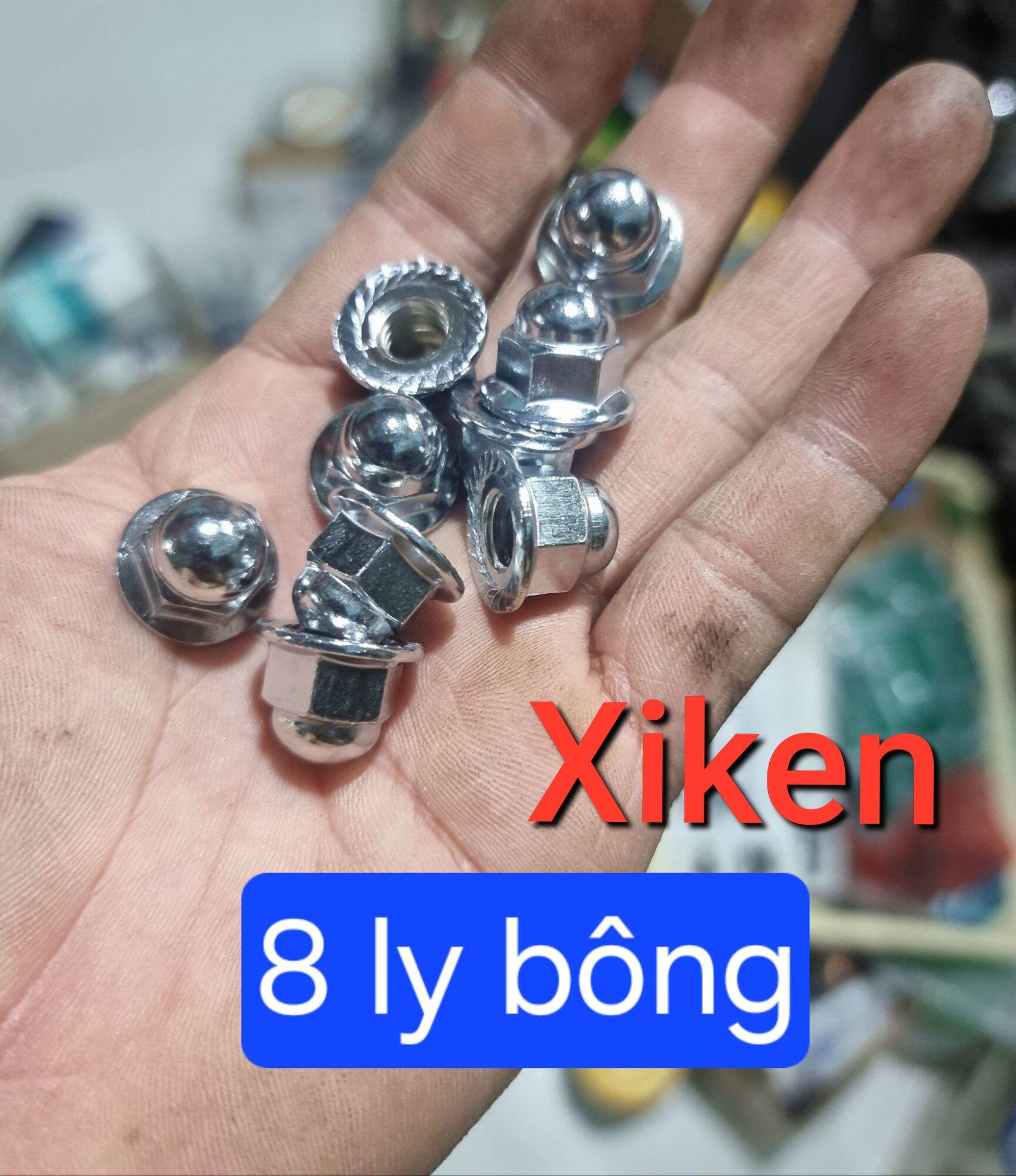 tán đầu chùa 8ly - 10ly (10 con) (loại tốt)