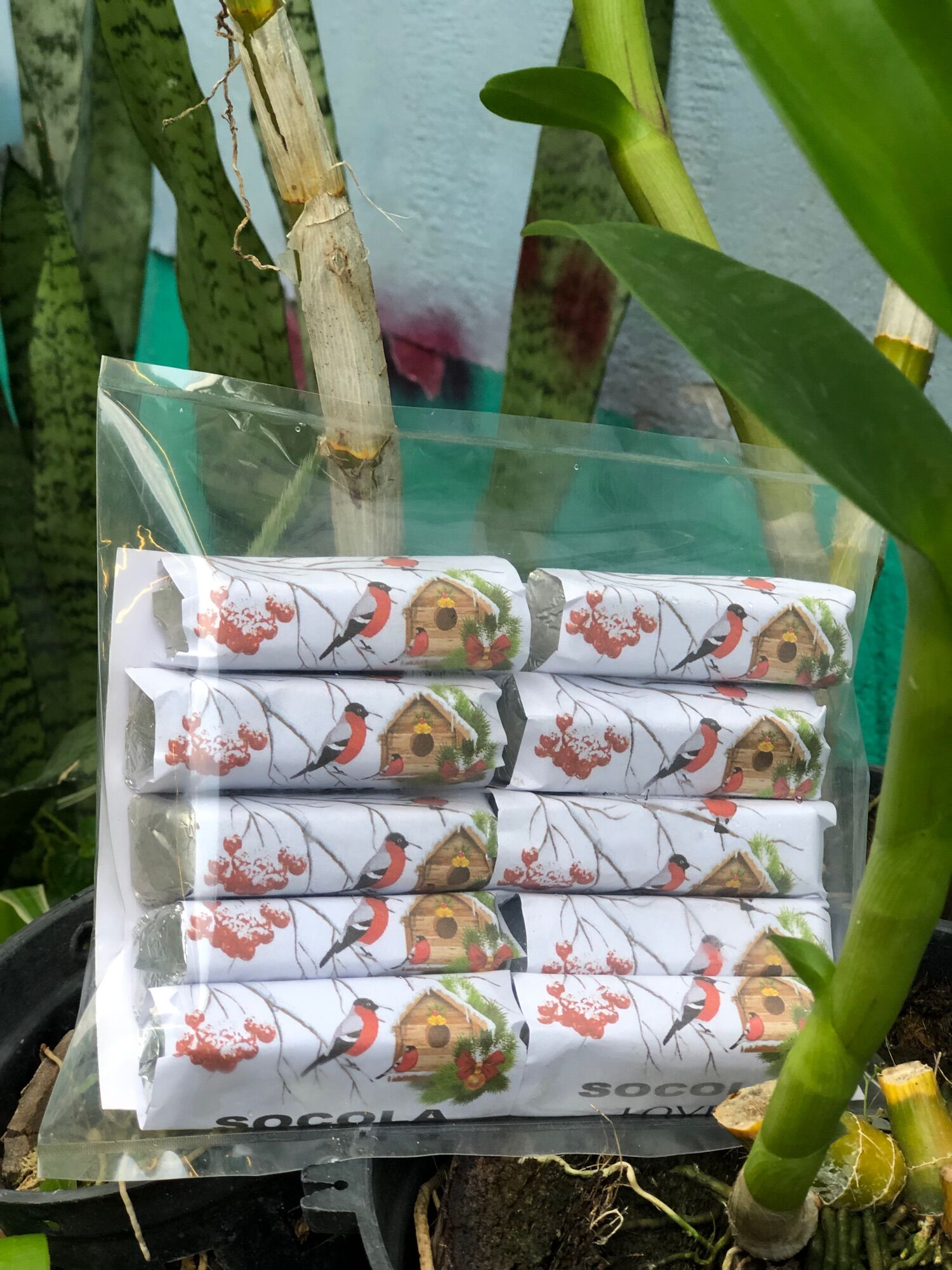 Túi Sô Cô La Trường Thọ ( 10 thanh * 20 gram )@@