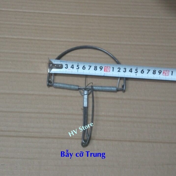 COMBO 20 BẪY CHUỘT BÁN NGUYỆT( tặng 1 chiếc)