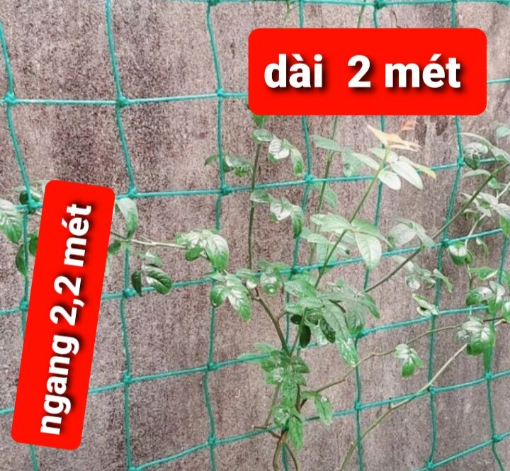 Lưới làm giàn cây leo 2,2 x 2 mét Lưới Thái siêu bền 3_5 năm
