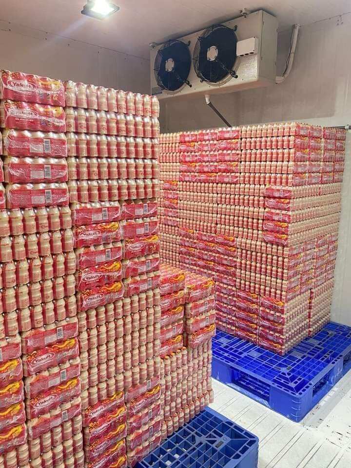 yakult đỏ 50 chai