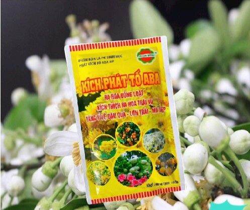 0kíc nở hoa mầm hoa đồng loạt cực mạnh aba thiên bình - vtnn bắc từ liêm