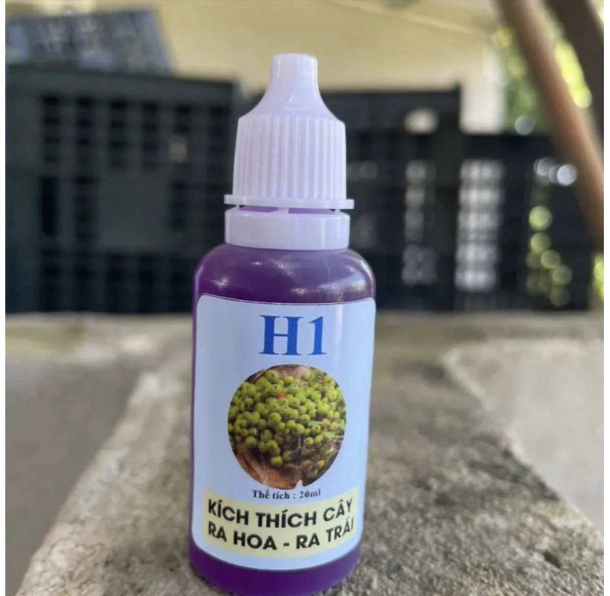 H1+B3 combo kích sung ra hoa và kích quả