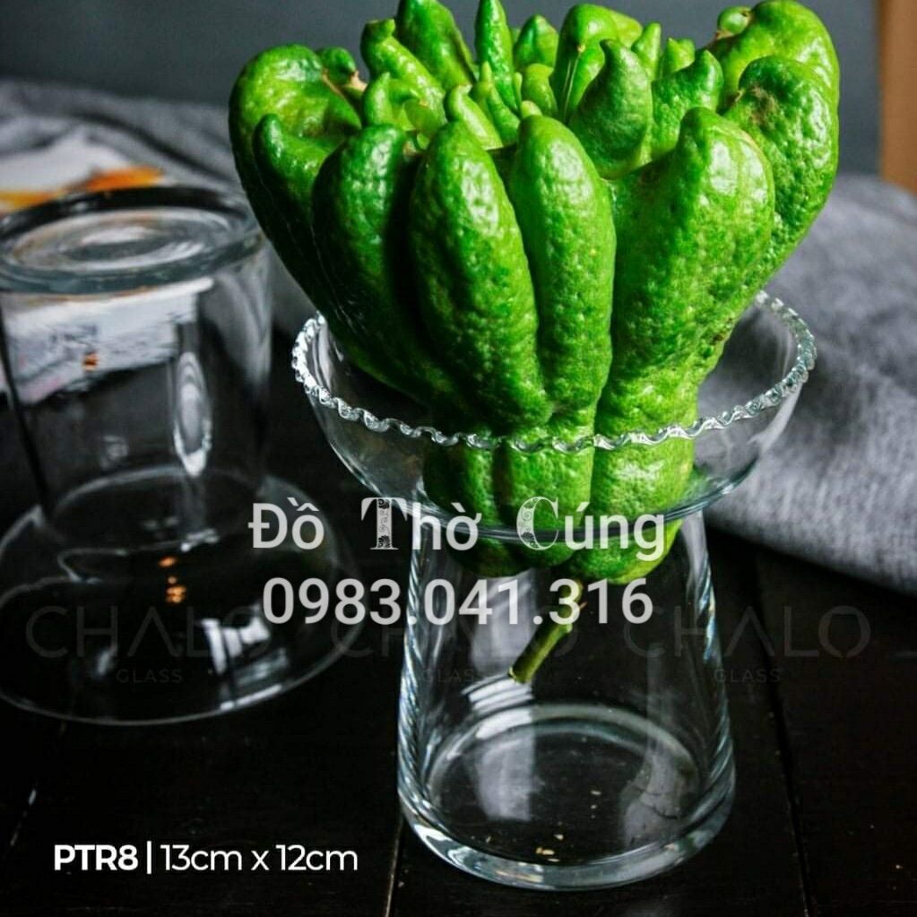 Ly thuỷ tinh đựng phật thủ miệng bèo