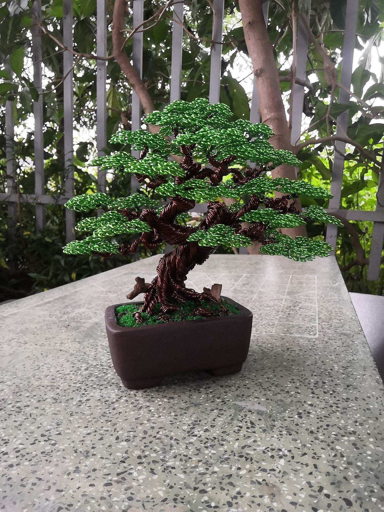 Cây bách tùng - Bonsai handmade - Trang trí bàn làm việc tủ kệ phòng khách