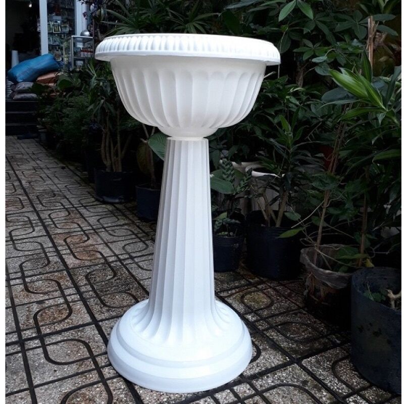 Chậu hoa ly màu trắng cao hàng nhựa việt nhật