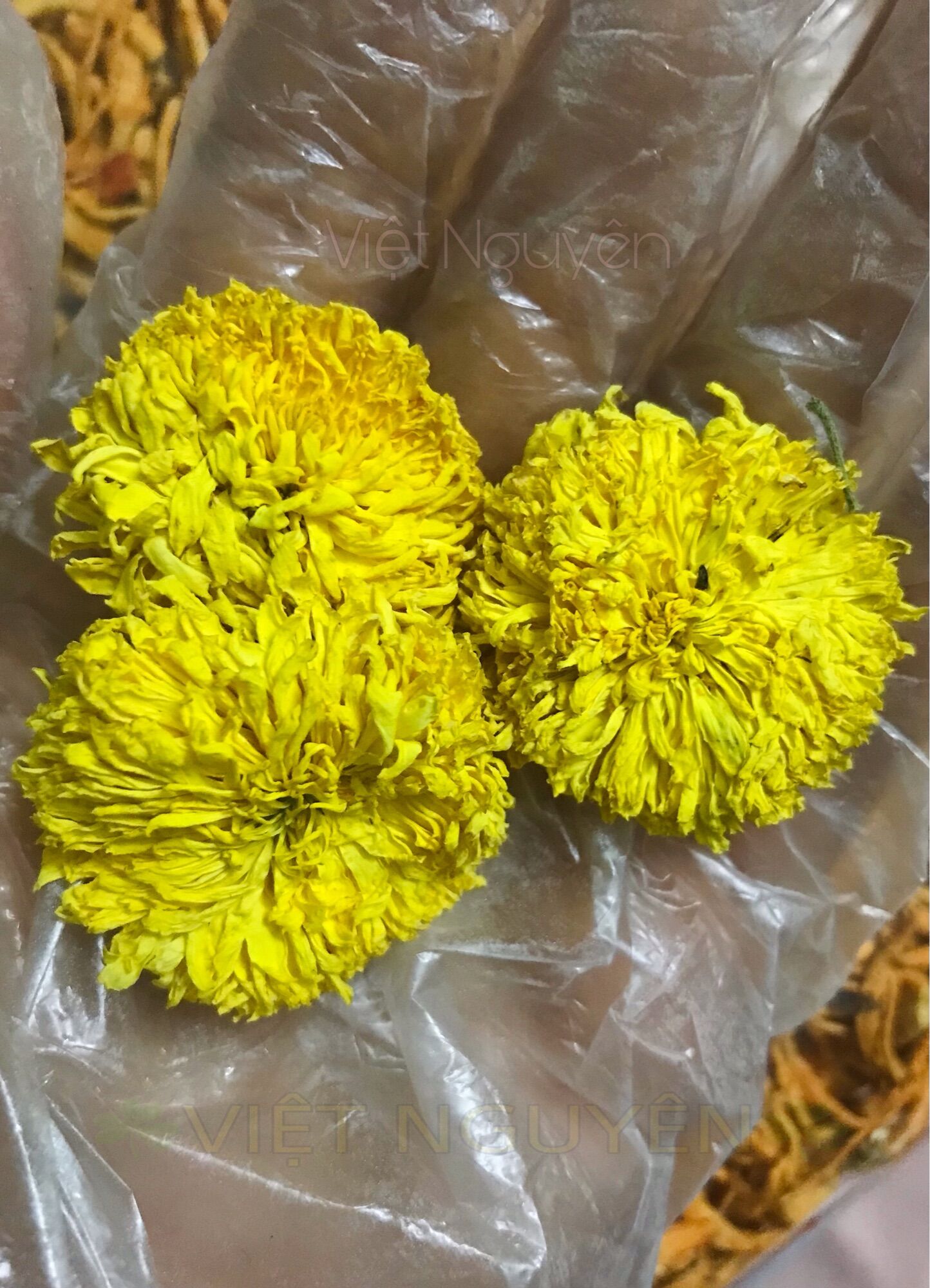Hoa cúc sấy lạnh loại thượng hạng