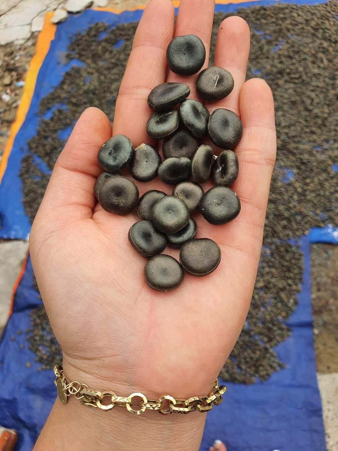 100g HẠT MÃ TIỀN ĐEN Nhung loại 1