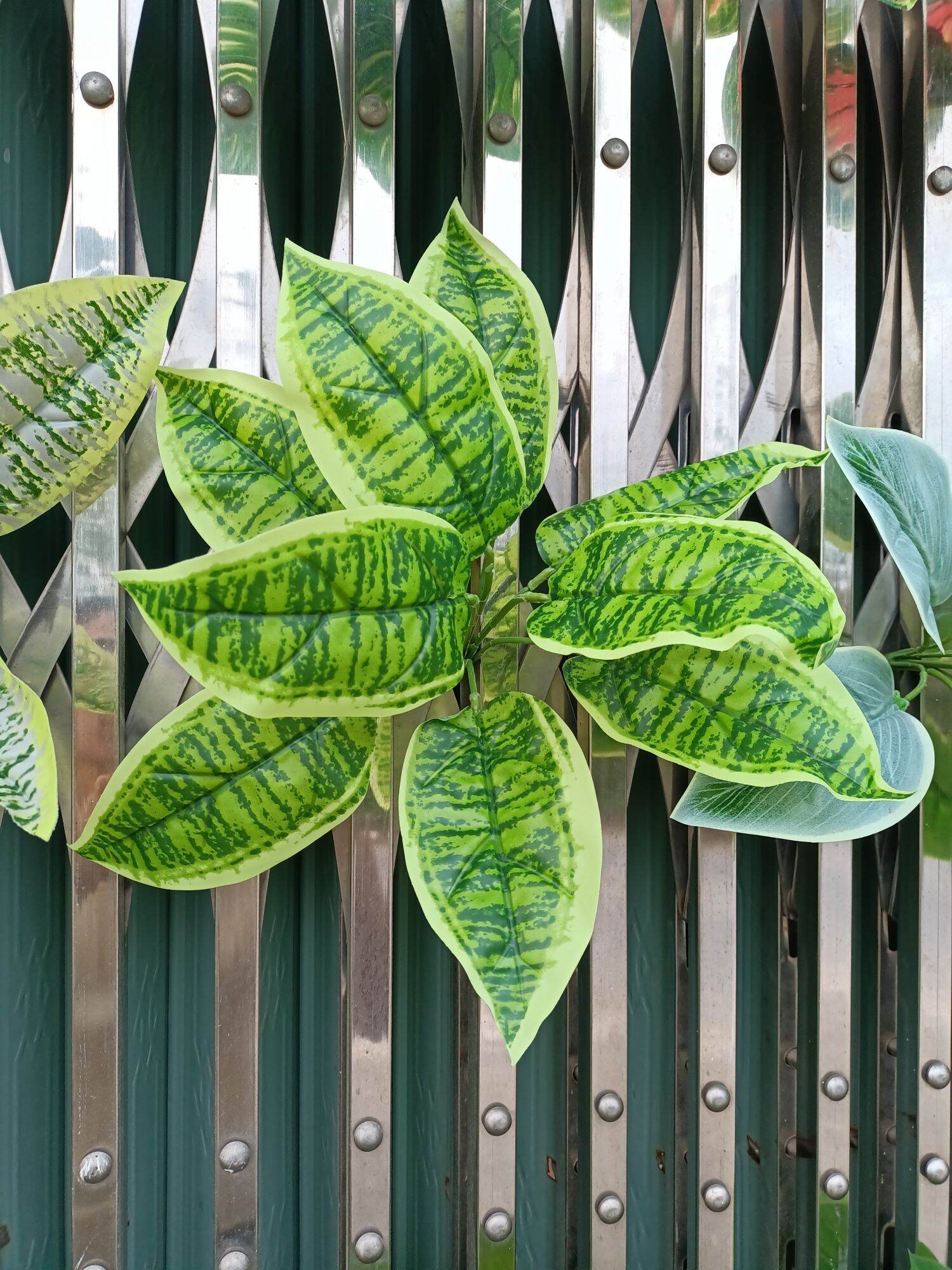 Cây giả trang trí, cây lưỡi hổ giả 9 lá , dài 35cm